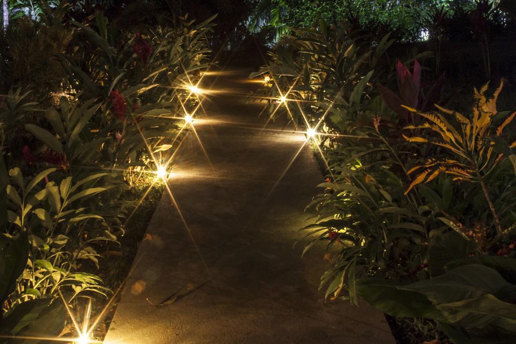 Manuel Antonio Hostel Resort 외부 사진