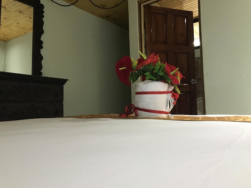 Manuel Antonio Hostel Resort 외부 사진